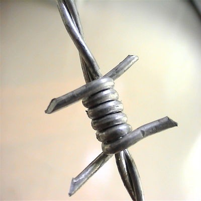 Rolo de arame farpado de aço inoxidável galvanizado personalizado